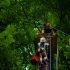 Kind mit Klettergurt steigt eine Strickleiter im Klettergarten hinauf, Betreuer wartet oben.